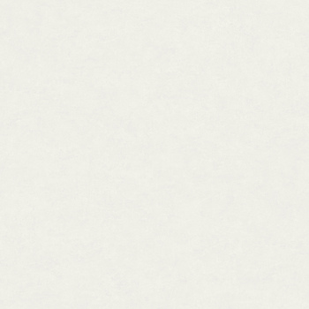ART_AS_0053325
