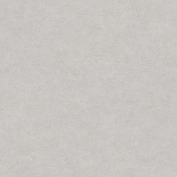 ART_AS_0053331